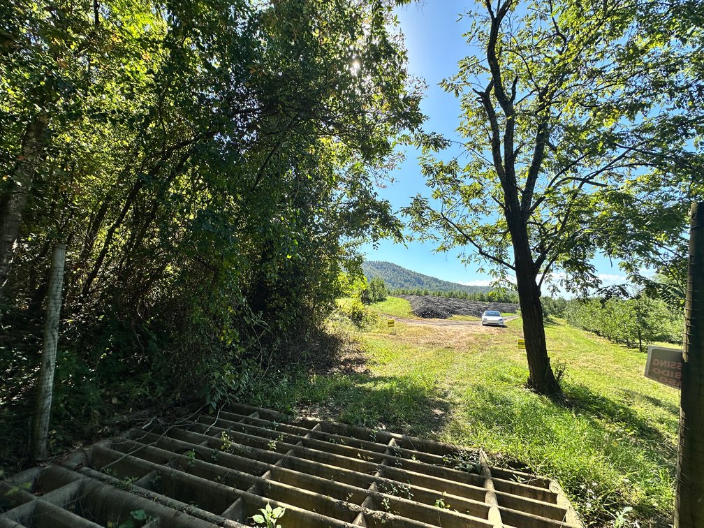Image for 33.25 Acres with 5 Division Rights in Albemarle County. 5885 Brush Mountain Trl