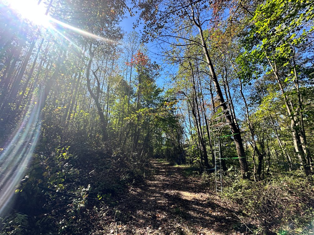 Image for 33.25 Acres with 5 Division Rights in Albemarle County. 5885 Brush Mountain Trl