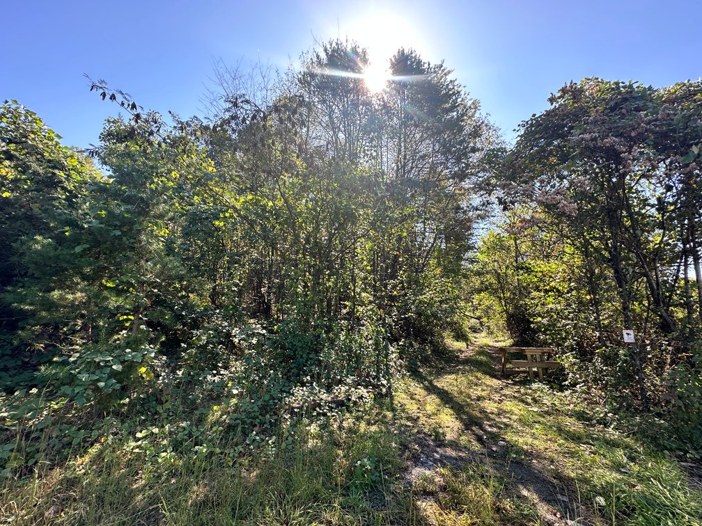 Image for 33.25 Acres with 5 Division Rights in Albemarle County. 5885 Brush Mountain Trl