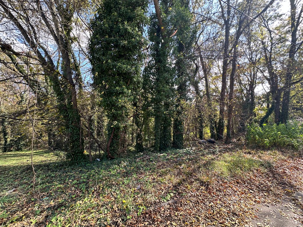 Judicial #3 (Donald A. Hardison) Parcel Tax ID- 01391, TACS#120476,  .0.3729 Acres+/- Vacant Lot, Residential,  Washington Street, Danville 24540