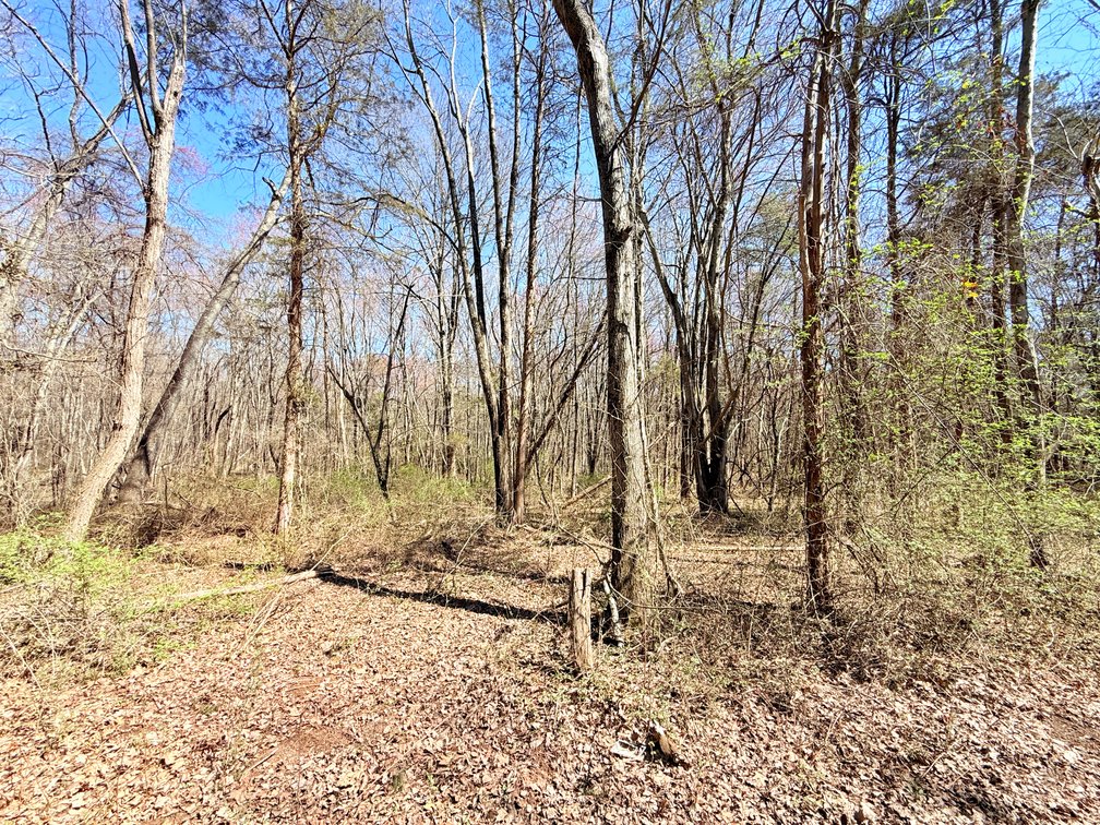 Judicial #4 (Mattie Robinson)Tax Map: 7297-80-2378, TACS#845893,  1.0000 Acres +/-  Vacant Lot, 15017 Lee Hwy, Gainesville, VA 20155
