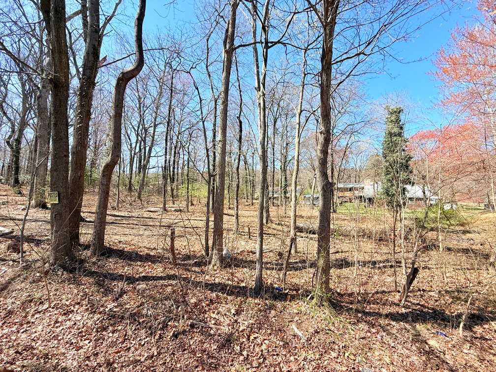 Judicial #6 (Nathan Anderson Estate) Tax Map: 7201-22-0540, TACS#845888,  .2.2500 Acres +/-  Vacant Lot, 2708 Mountain Rd. Haymarket, VA 20169