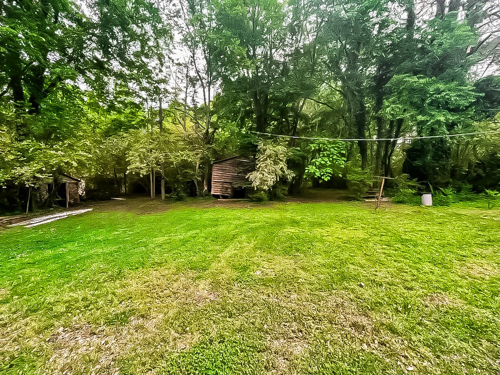 Image for Historic Single-family Home: 22446 E Depot St, Newsoms, Virginia