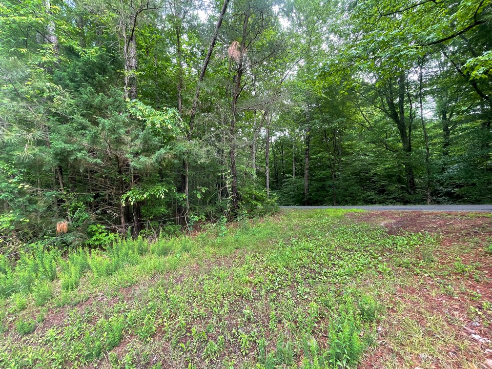 Image for Exceptional 37-Acre Mining Investment Opportunity