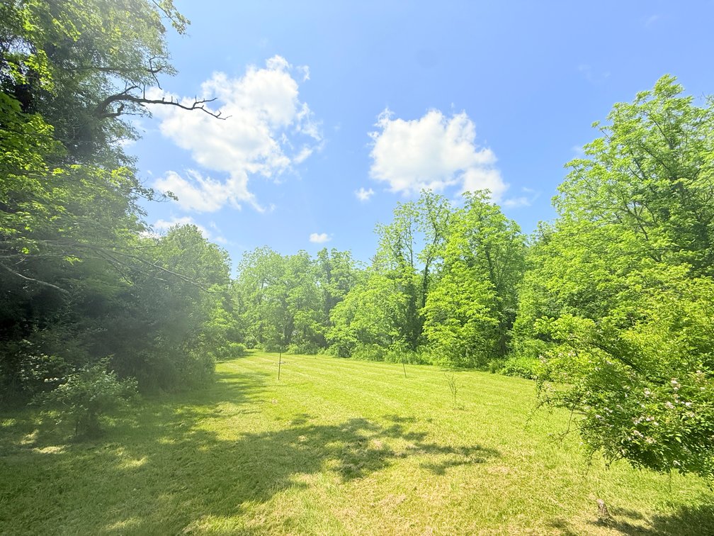 Image for Completely Renovated 1830 Log Cabin with Hot Spring & Thriving Airbnb Business - 12509 Sam Snead Hwy