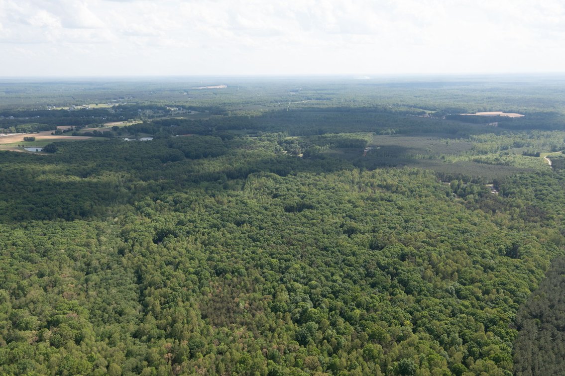 Image for Court Ordered Auction for the Estate of Charles Goode - 37 Acres in Powhatan, VA
