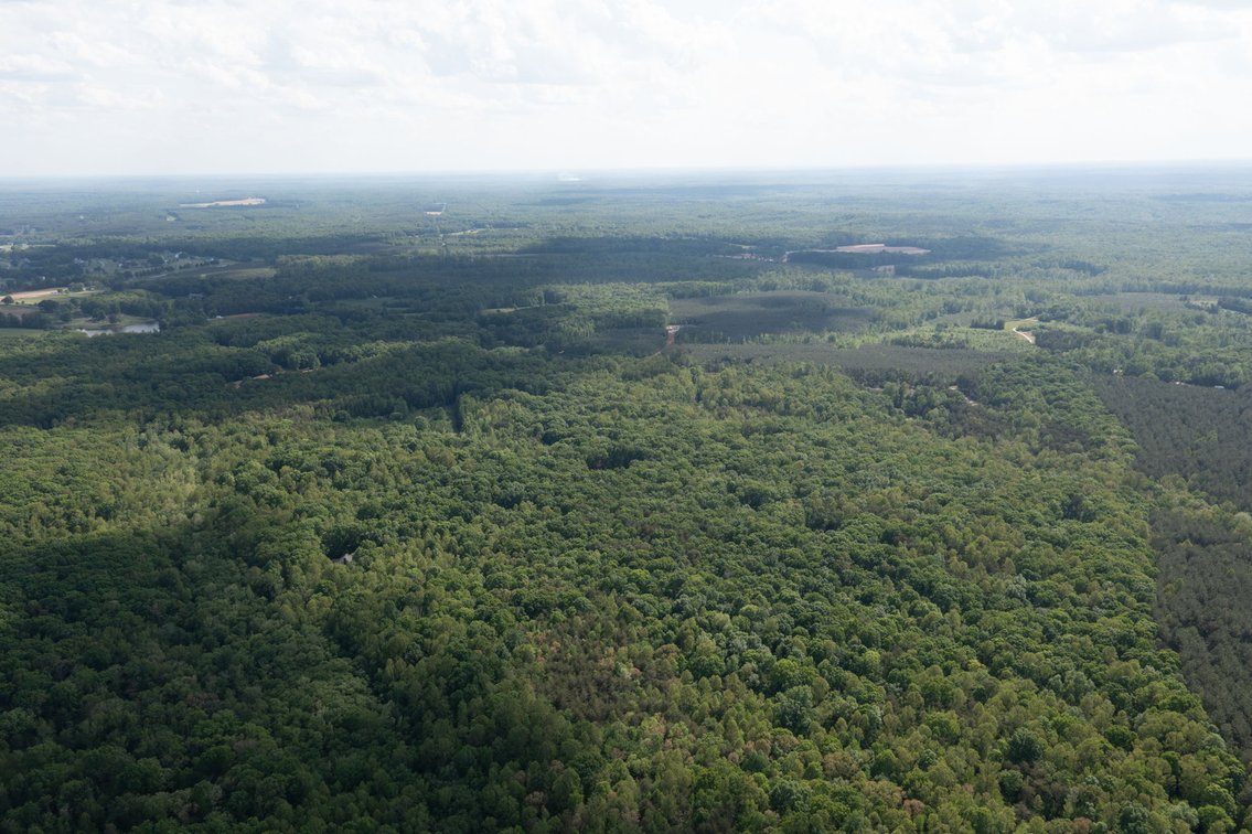 Image for Court Ordered Auction for the Estate of Charles Goode - 37 Acres in Powhatan, VA