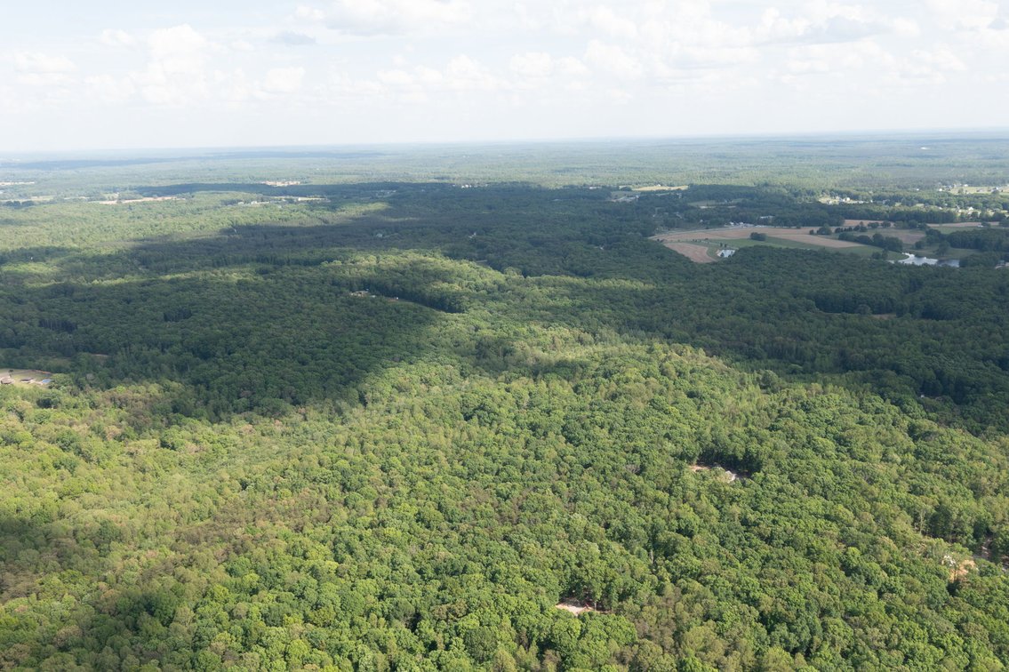 Image for Court Ordered Auction for the Estate of Charles Goode - 37 Acres in Powhatan, VA