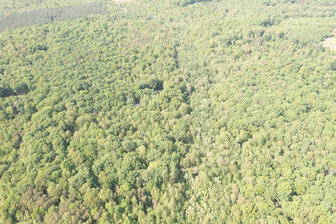 Image for Court Ordered Auction for the Estate of Charles Goode - 37 Acres in Powhatan, VA