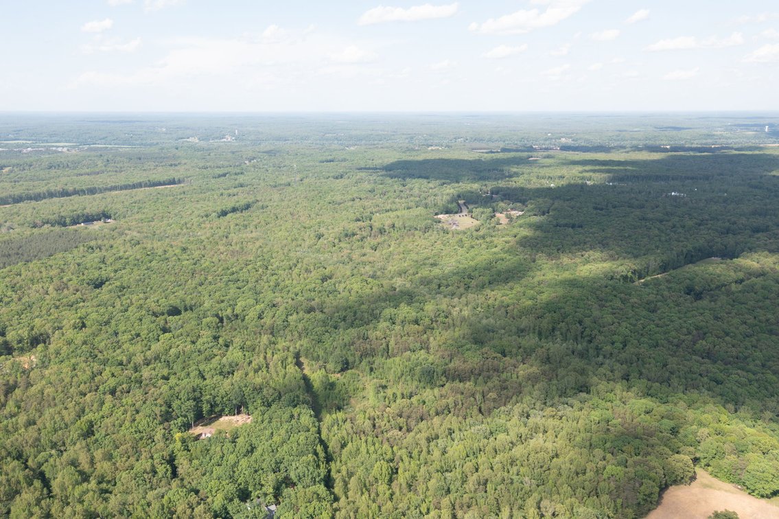 Image for Court Ordered Auction for the Estate of Charles Goode - 37 Acres in Powhatan, VA