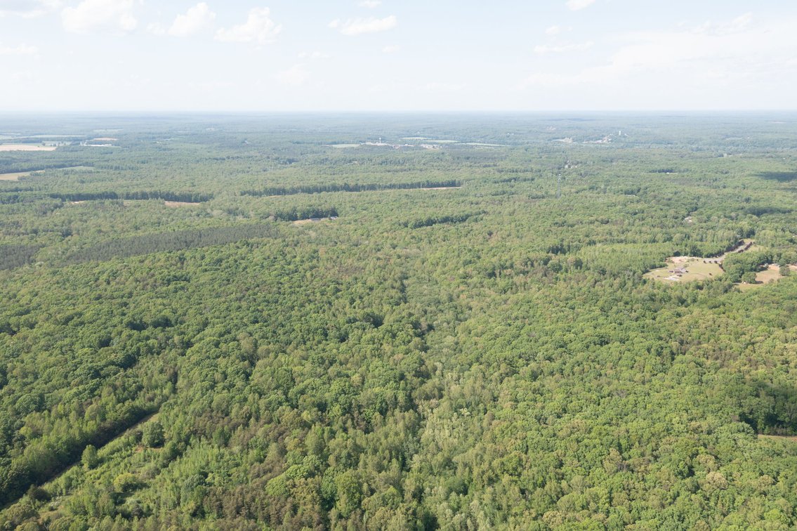 Image for Court Ordered Auction for the Estate of Charles Goode - 37 Acres in Powhatan, VA