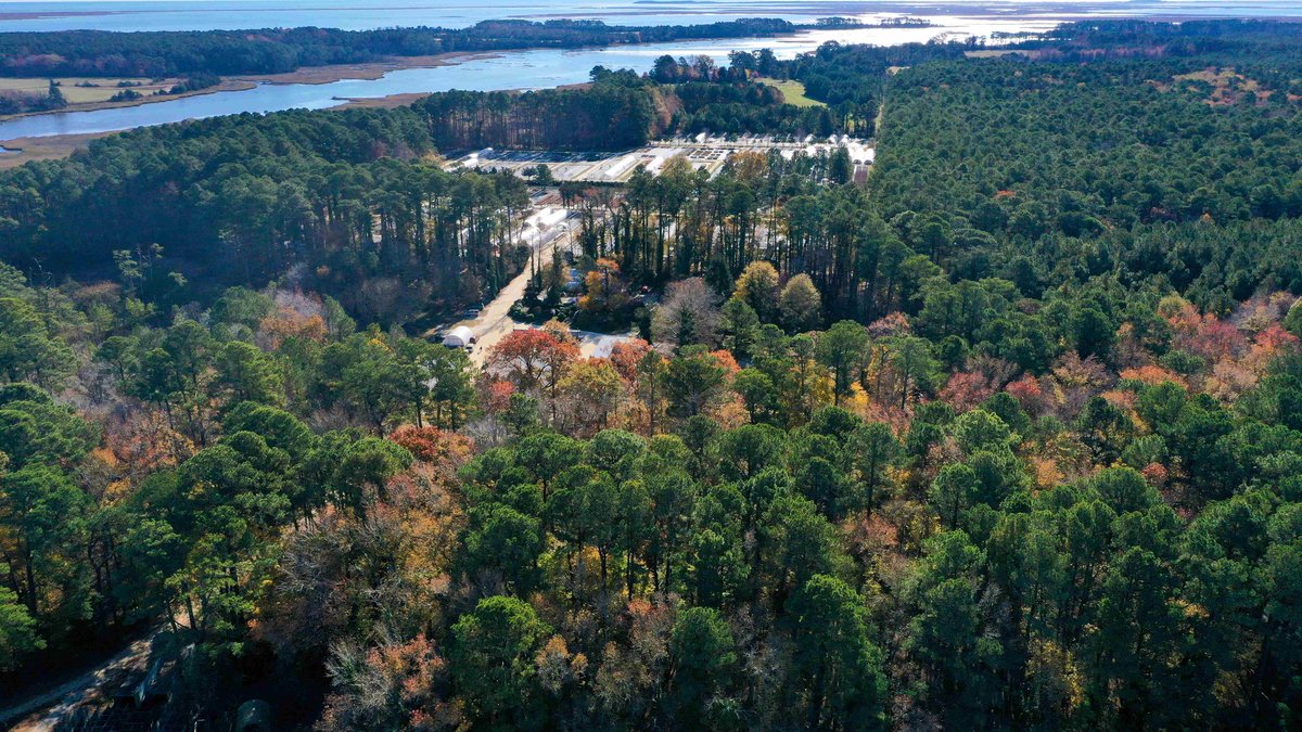 Image for Eastern Shore Farm Auction - 33 to 92 Acres - Creek Frontage, Hunting Land, Hobby Farm & Commercial Nursery - Virginia