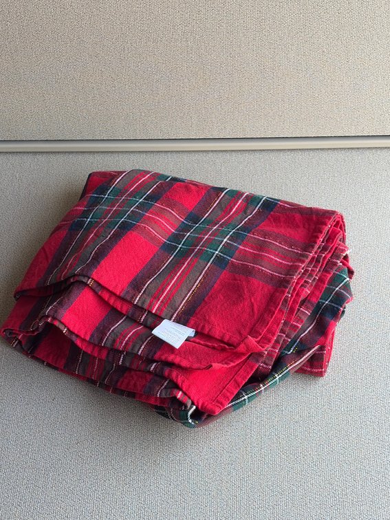 Lg Holiday tablecloth