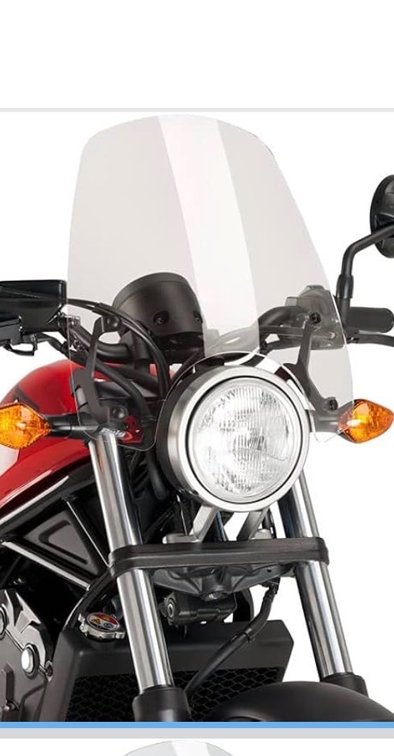 Puig motoplastic BMW bug screen