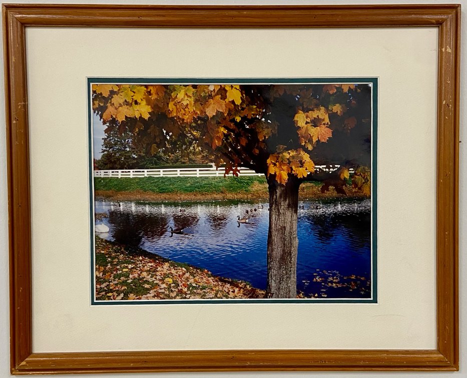 6. Pond Photo