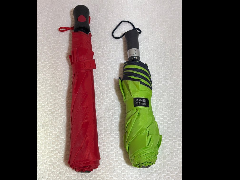 2 everyday umbrellas