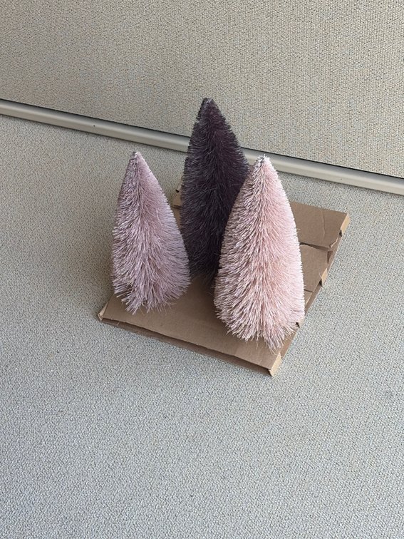Bottle brush trees