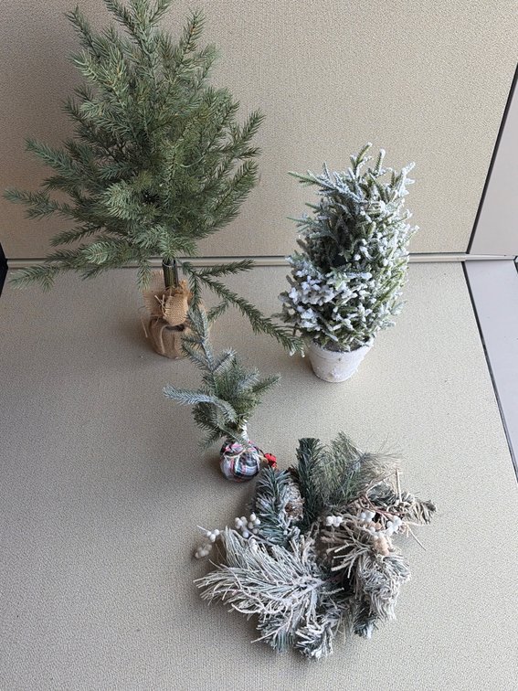 Christmas trees and wreath