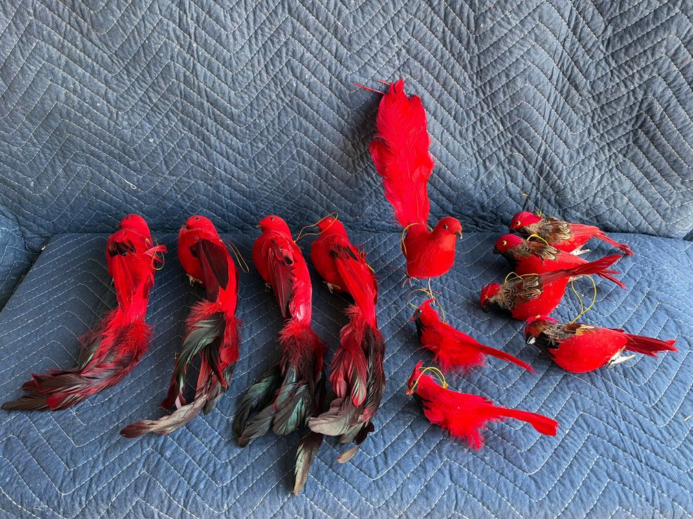 Group of 11 red Christmas ornament birds with actual feathers