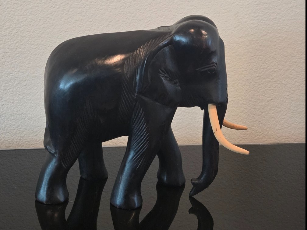 MCM West African Hand Carved Widen Elephant with extravagant tusks