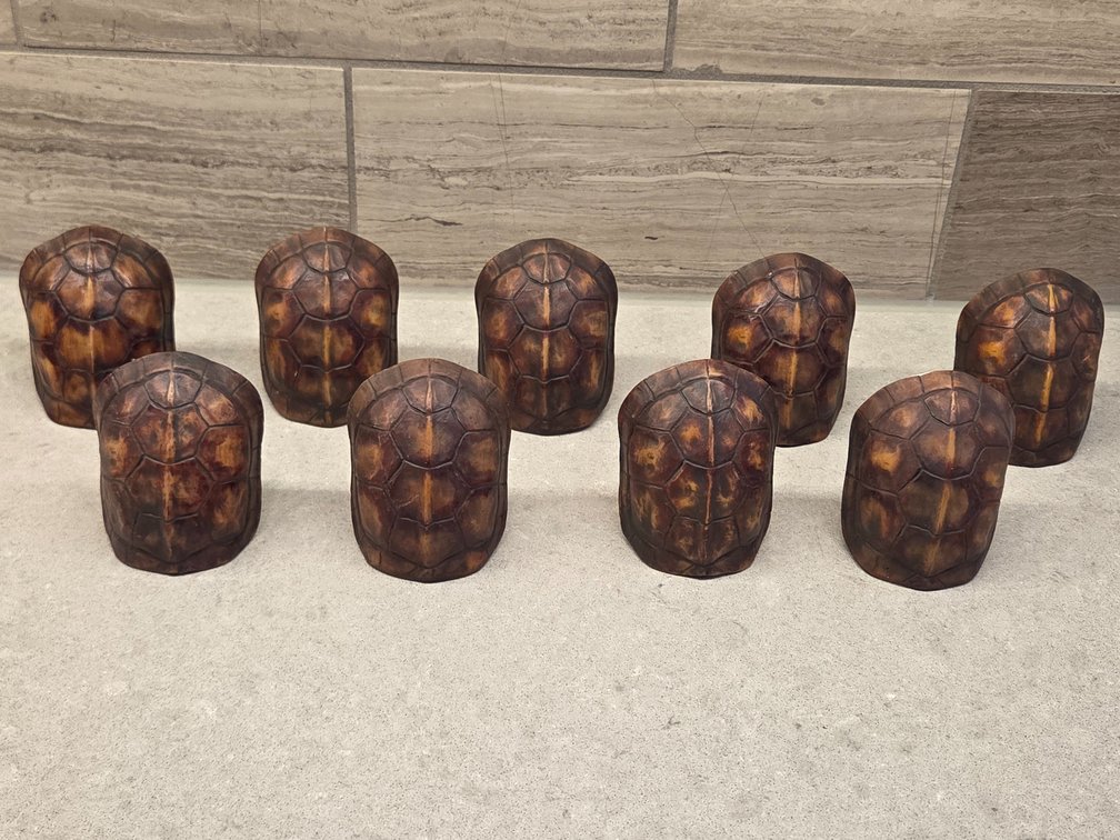 9 hand-carved turtle shell napkin rings