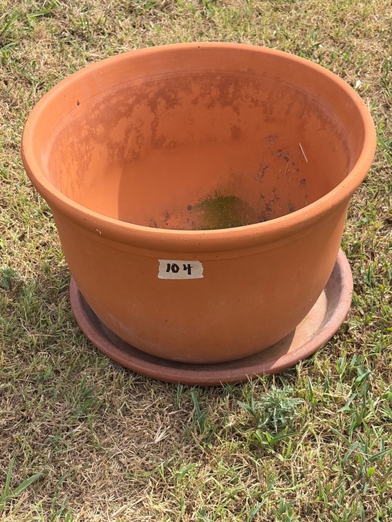 17 inch terra-cotta pot fluted top