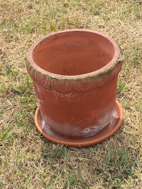 12 inch terra-cotta pot, Greco lip and saucer