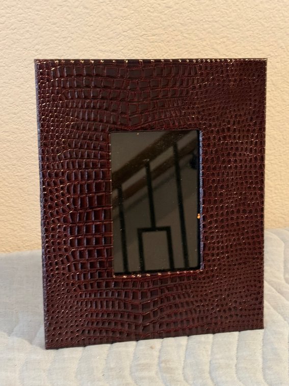 Vintage 4 x 6 crocodile frame