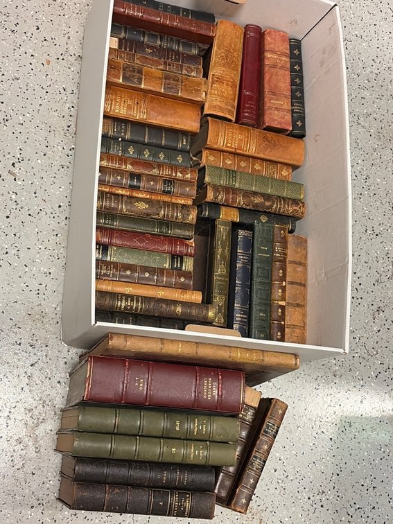 Classic literature, library collection