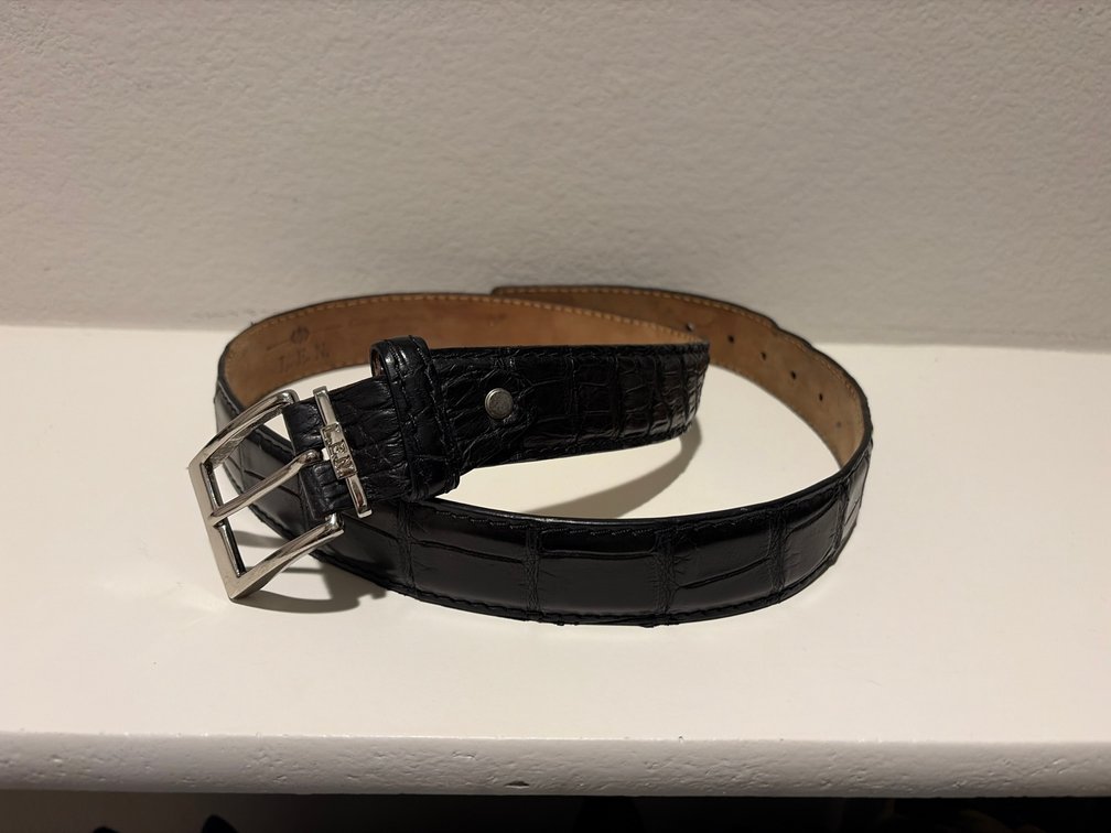 LEN Genuine, American alligator belt 32