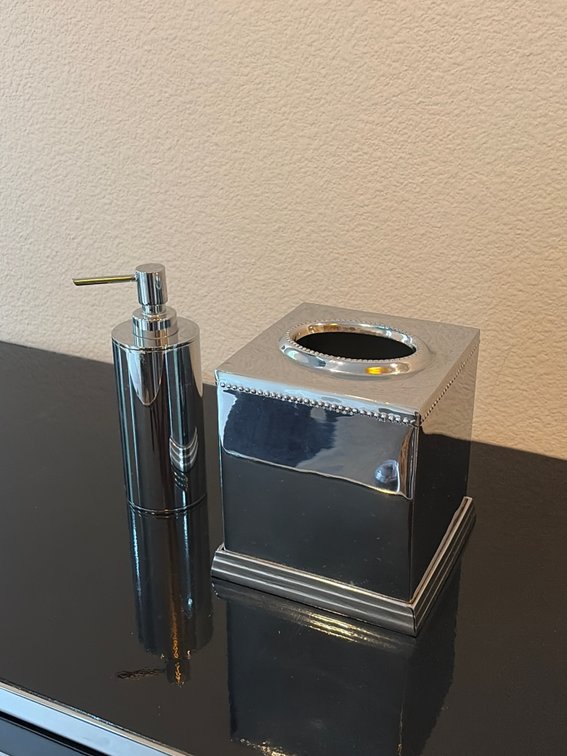 Chrome  soap dispenser, and tissue dispenser?