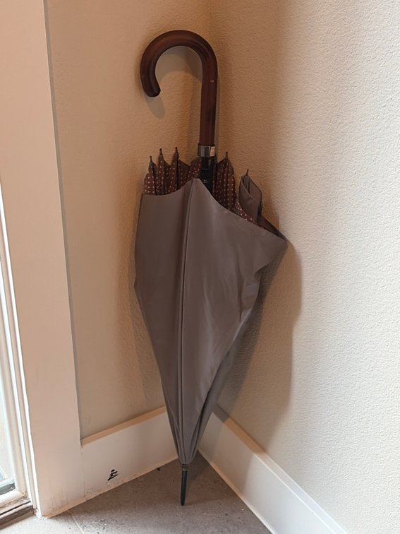 Tag Umbrella
