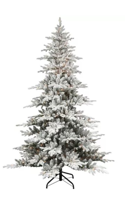 Puleo International Inc. The Oldest Family Name for Christmas Trees in America