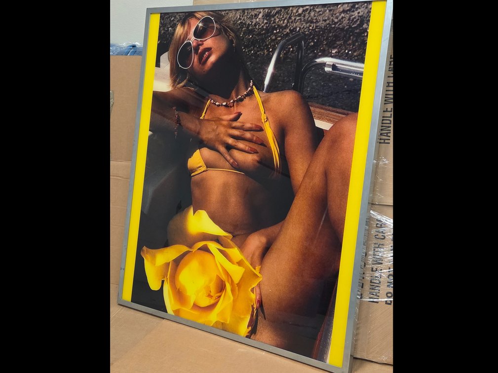 Large Provocative Backlit Photo Panel