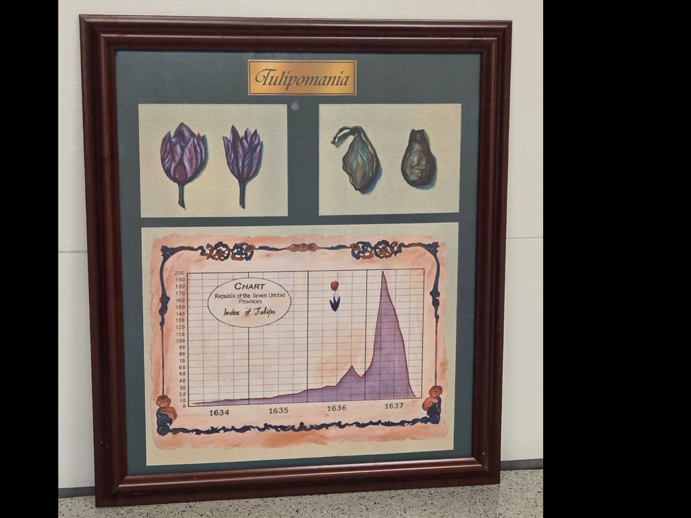 Tulipomania from the movie Wall Street: Money Never Sleeps