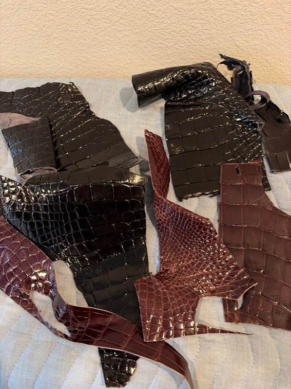 Crocodile skin remnants