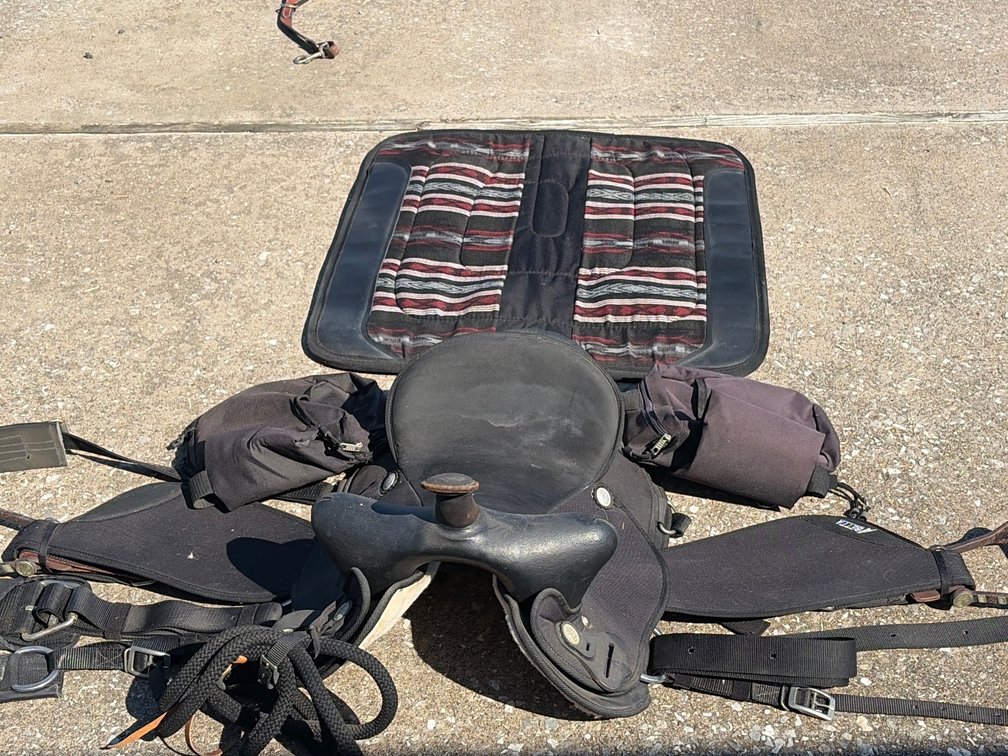 A Betta small black nylon saddle with blanket