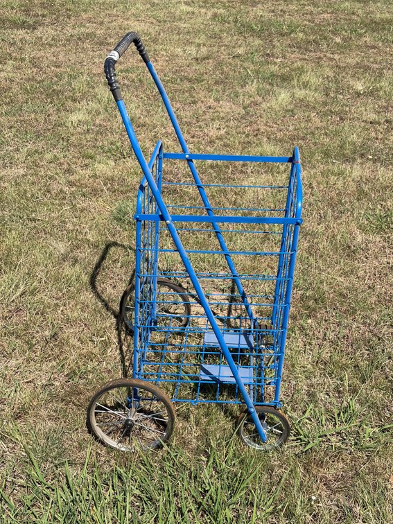 Blue utility basket