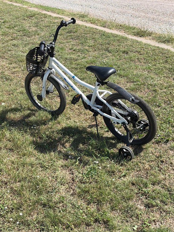 Pro rider child’s bike with training wheels