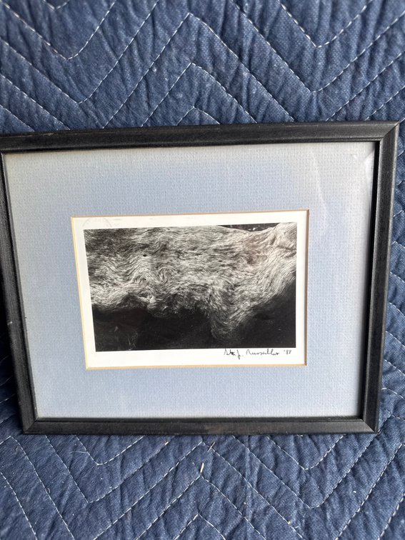 Framed art