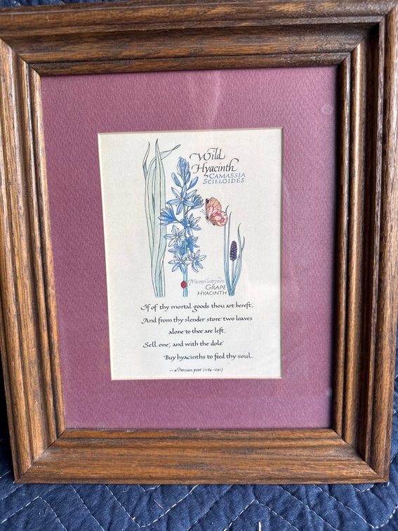 Persian poet framed art