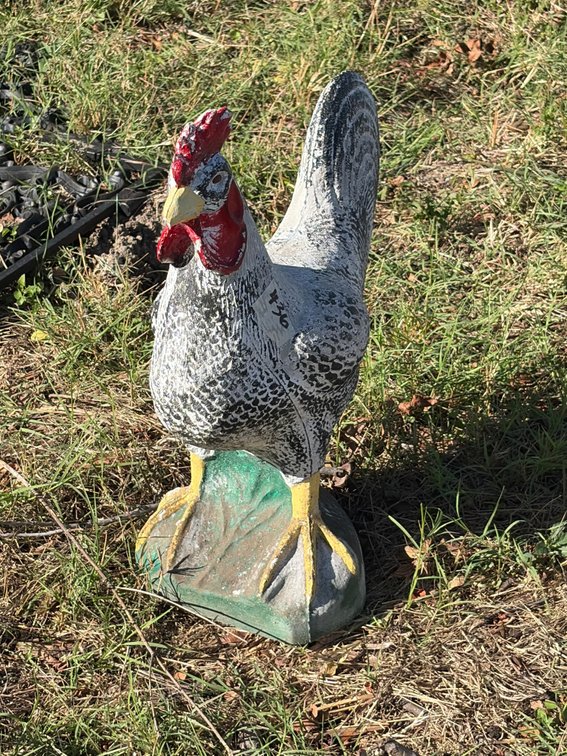 Concrete rooster 19 inches