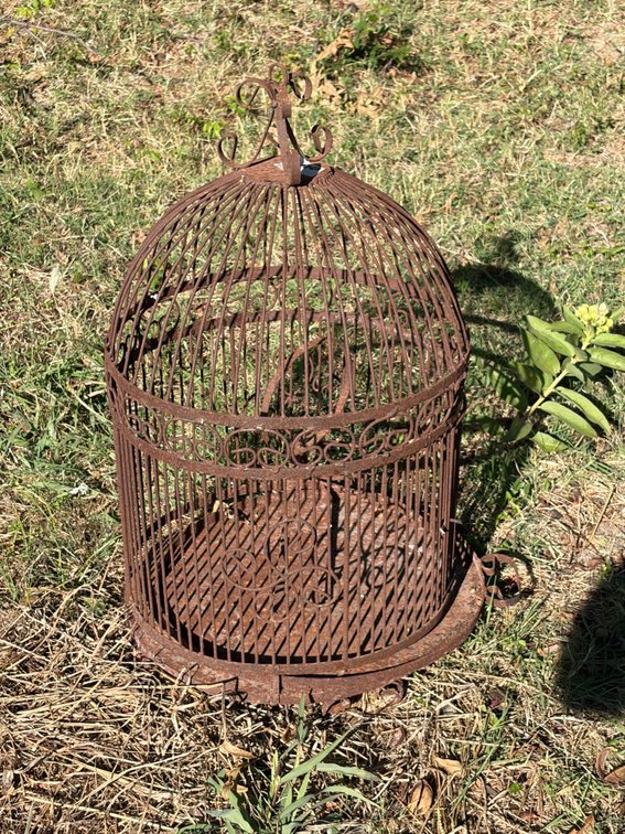 Vintage bird cage