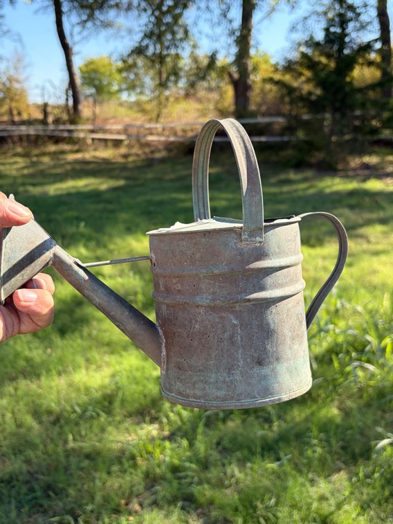 Small copper watering can