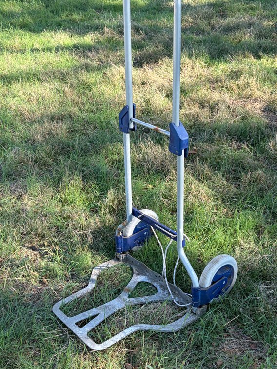 Folding dolly