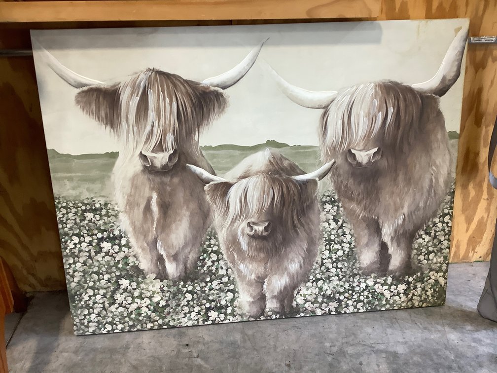 Highland cows canvas 40 x 30
