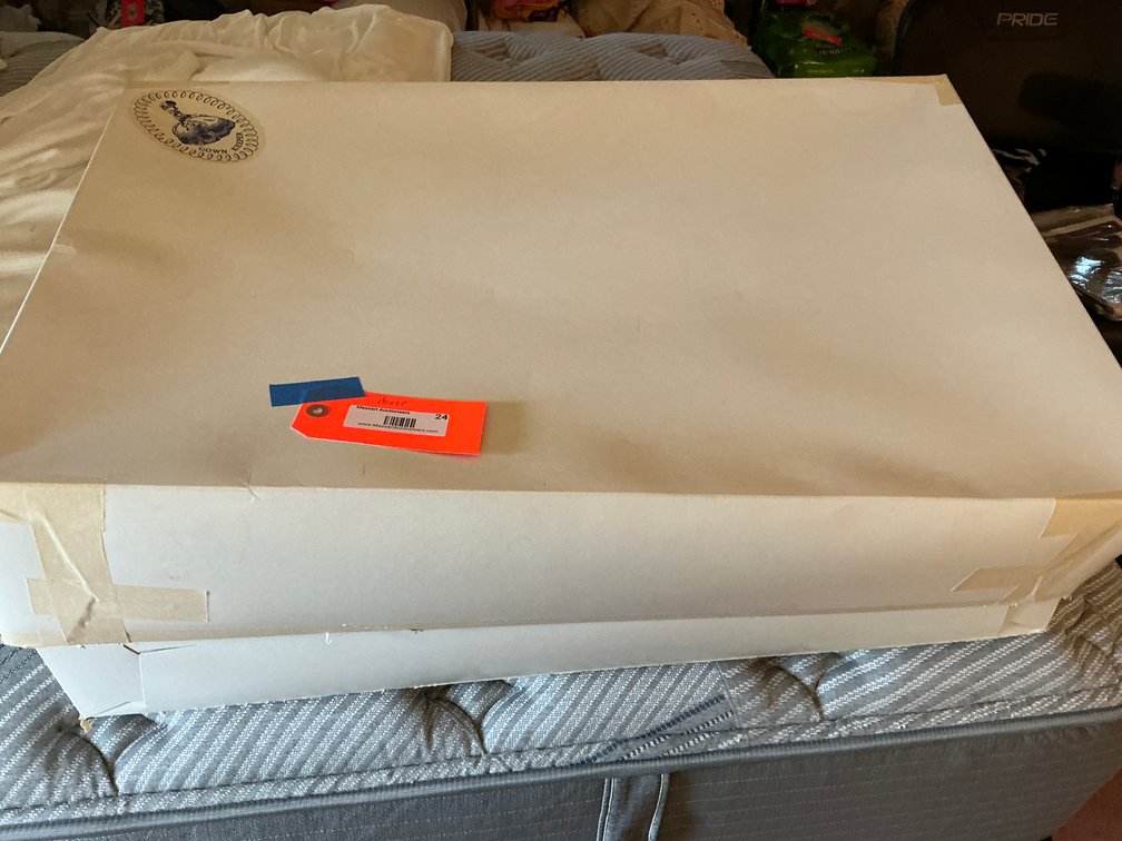 Wedding dress with gown keeper box-Master bedroom