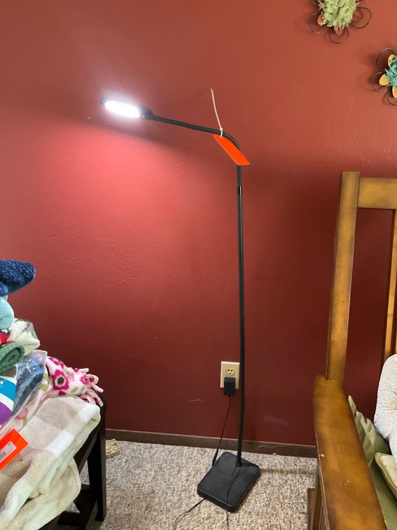 Black LED gooseneck floor lamp