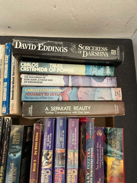 Grouping of fantasy & literature paperback books