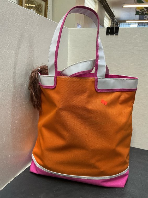 Grouping of assorted fashion dolls with tote bag